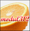 modul312.gif