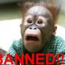 Banned